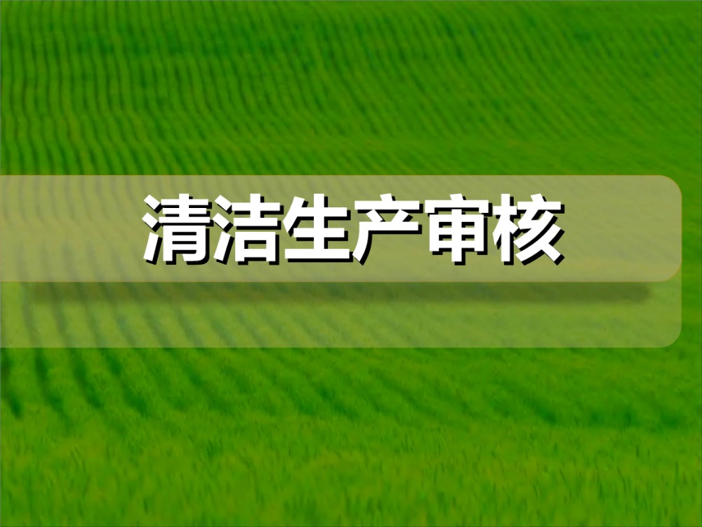 重點(diǎn)清潔生產(chǎn)審核企業(yè)公示信息表